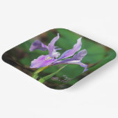 Assiettes En Carton Plaque de papier Iris violet (Angulaire)