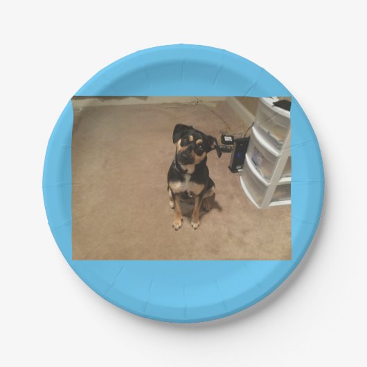 Assiettes En Carton Plaque de papier Josie (Devant)