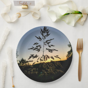 Assiettes En Carton Plaque de papier laiton Johnson