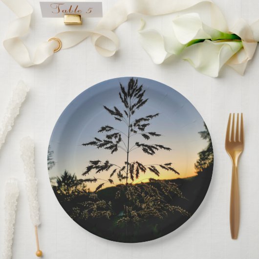 Assiettes En Carton Plaque de papier laiton Johnson (Mariage)