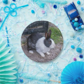 Assiettes En Carton Plaque de papier lapin noir et blanc (Fête)