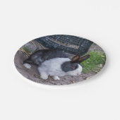 Assiettes En Carton Plaque de papier lapin noir et blanc (Angle)