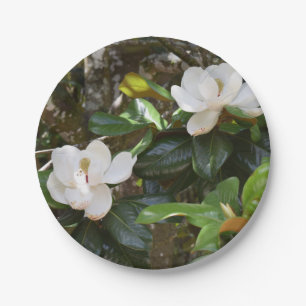 Assiettes En Carton Plaque de papier Magnolia blanc