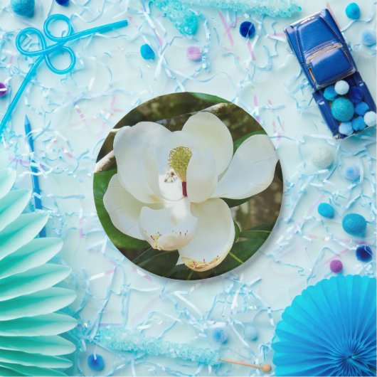 Assiettes En Carton Plaque de papier Magnolia blanc (Fête)