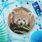 Assiettes En Carton Plaque de papier photo panda rouge. Panda roux. An (Fête)