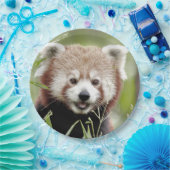 Assiettes En Carton Plaque de papier photo panda rouge. Panda roux.Ani (Fête)