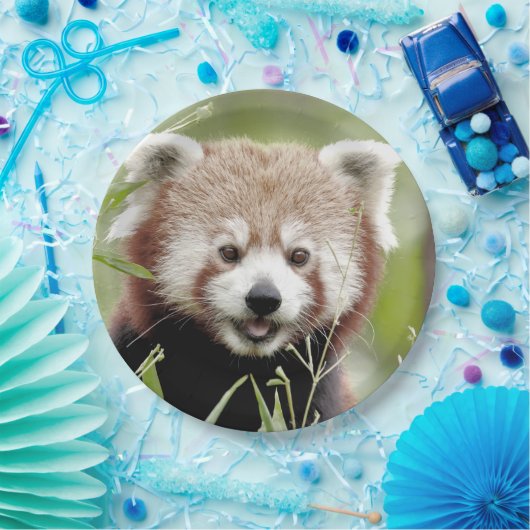 Assiettes En Carton Plaque de papier photo panda rouge. Panda roux.Ani (Fête)