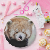 Assiettes En Carton Plaque de papier photo panda rouge. Panda roux.Ani (Fête)