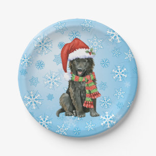 Assiettes En Carton Plaque de papier pour chien de Noël
