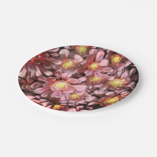 Assiettes En Carton Plaque de papier pour poules et poules (Angle)