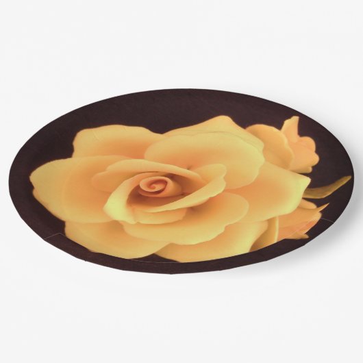 Assiettes En Carton Plaque de papier rose jaune (Angle)