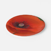 Assiettes En Carton Plaque de papier rouge (Angle)