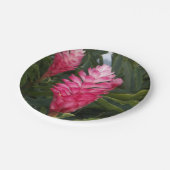 Assiettes En Carton Plaque de papier rouge Ginger (Angle)
