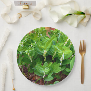 Assiettes En Carton Plaque de papier Solomons Seal