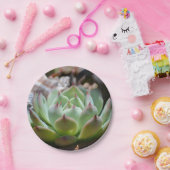 Assiettes En Carton Plaque de papier succulente (Fête)