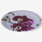 Assiettes En Carton Plaque de papier violet orchidée (Angle)