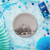 Assiettes En Carton Plaque de tzu Shih customisée, chien couché (Fête)