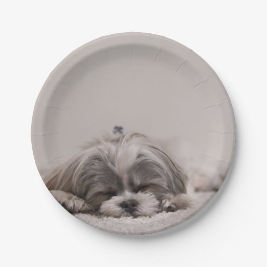 Assiettes En Carton Plaque de tzu Shih customisée, chien couché (Devant)