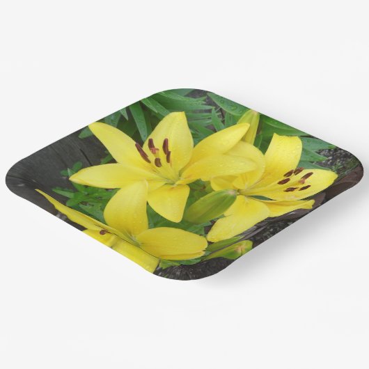 Assiettes En Carton Plaque en papier Carré à motif jaune (Angulaire)