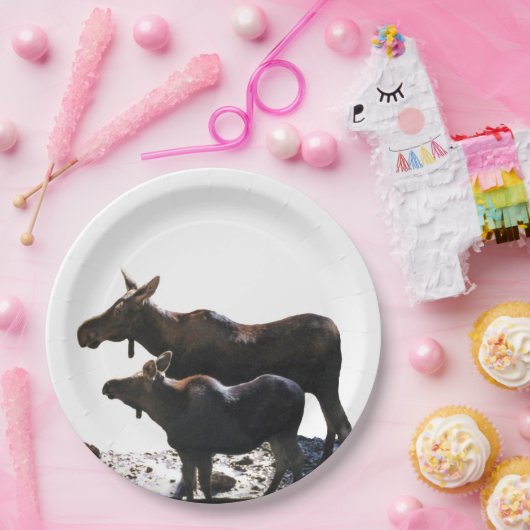 Assiettes En Carton  Plaque en papier de 9 po avec orignal (Fête)