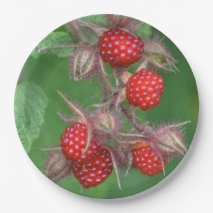 Assiettes En Carton Plaque en papier de framboise rouge