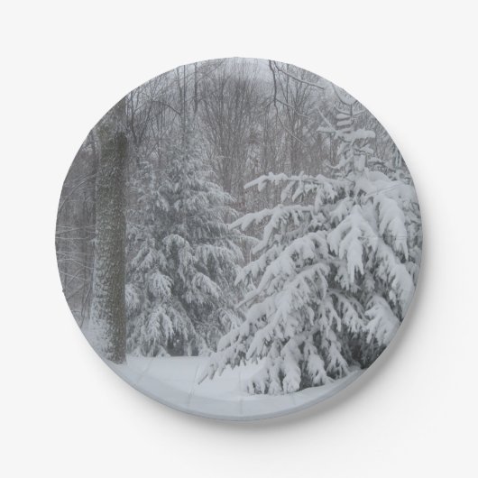 Assiettes En Carton Plaque en papier de vacances (Devant)