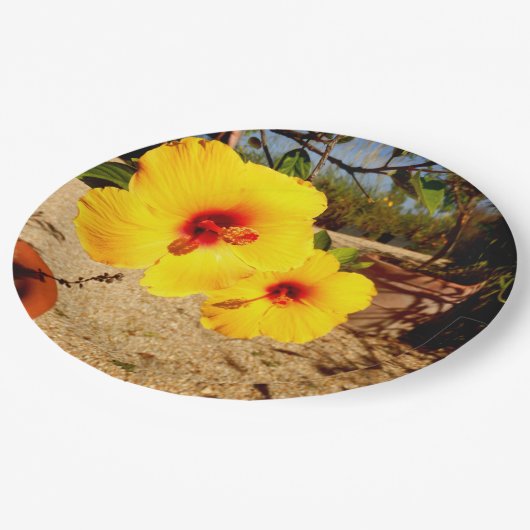 Assiettes En Carton Plaque en papier d'Hibiscus jaune (Angle)