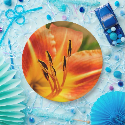 Assiettes En Carton Plaque en papier orange Tiger (Fête)