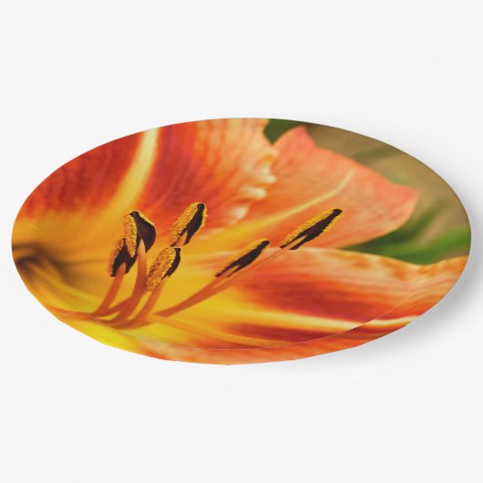 Assiettes En Carton Plaque en papier orange Tiger (Angle)