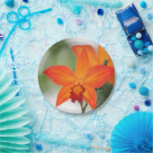 Assiettes En Carton Plaque en papier orangé tropical (Fête)