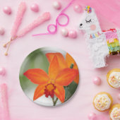 Assiettes En Carton Plaque en papier orangé tropical (Fête)