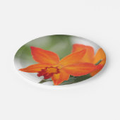 Assiettes En Carton Plaque en papier orangé tropical (Angle)