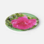 Assiettes En Carton Plaque en papier rose (Angle)