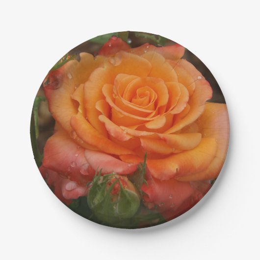 Assiettes En Carton Plaque en papier Rose orange (Devant)