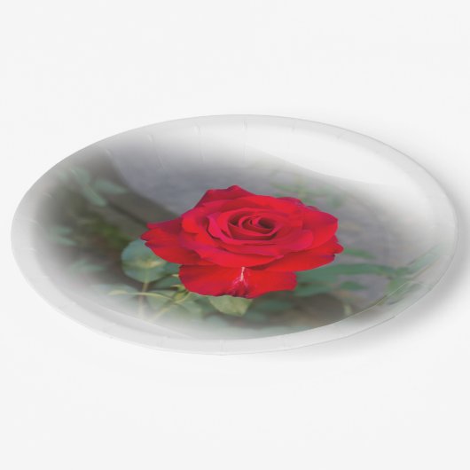 Assiettes En Carton Plaque en papier rouge rose classique (Angle)