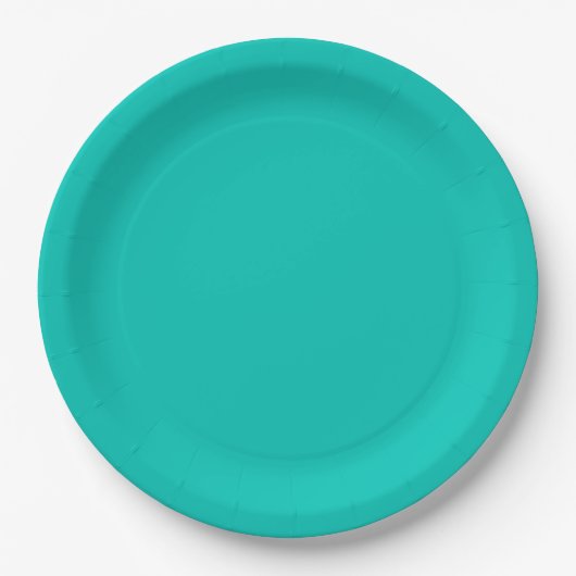 Assiettes En Carton Plaque en papier turquoise (Devant)