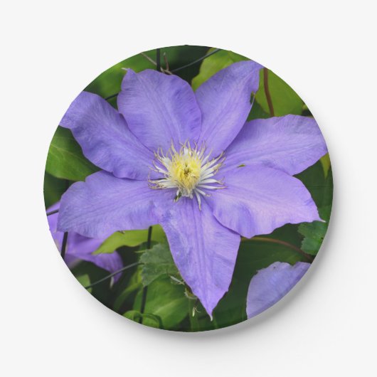 Assiettes En Carton Plaque en papier violet Clematis (Devant)