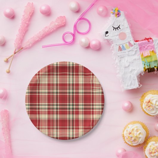 Assiettes En Carton Plaqué Noël 23 PLATES PAPIER (Fête)