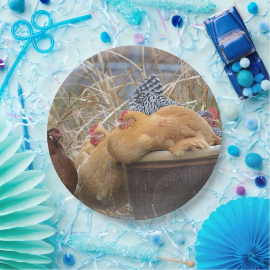 Assiettes En Carton Plaque papier à feutre (Fête)