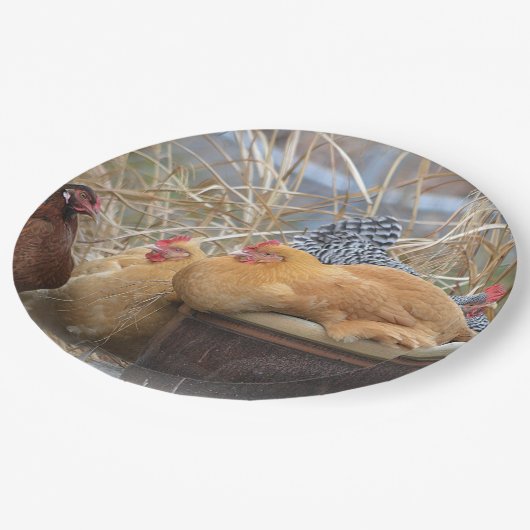 Assiettes En Carton Plaque papier à feutre (Angle)