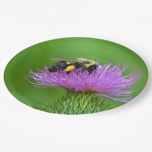 Assiettes En Carton Plaque Papier Abeille Et Chardon (Angle)