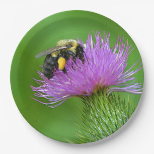 Assiettes En Carton Plaque Papier Abeille Et Chardon