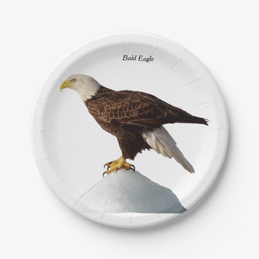 Assiettes En Carton Plaque papier Bald Eagle (Devant)