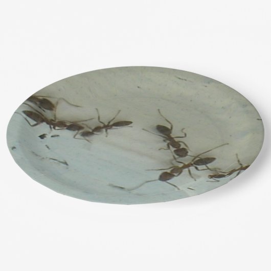 Assiettes En Carton Plaque papier - Fourmis à pique-nique (Angle)