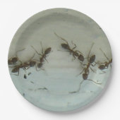 Assiettes En Carton Plaque papier - Fourmis à pique-nique (Devant)