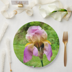 Assiettes En Carton Plaque Papier Iris À Pois