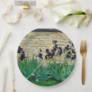 Assiettes En Carton Plaque Papier Iris À Pois