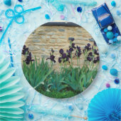 Assiettes En Carton Plaque Papier Iris À Pois (Fête)
