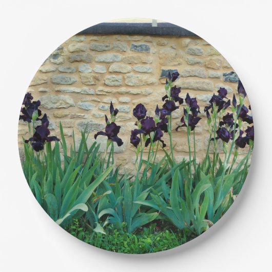 Assiettes En Carton Plaque Papier Iris À Pois (Devant)