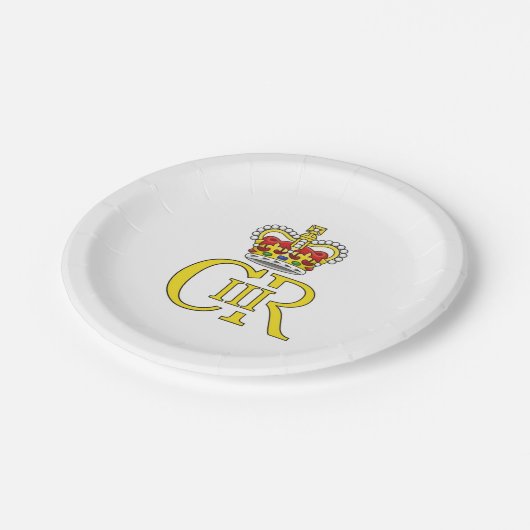 Assiettes En Carton Plaque papier King Charles III Royaume-Uni - soiré (Angle)